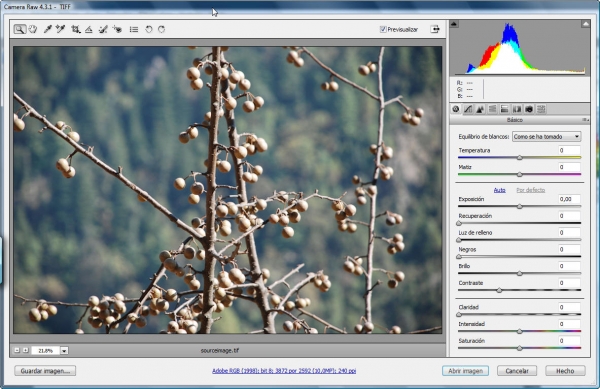 Creation of Wild Tree: Step 1